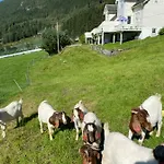 The House Of Mattis In Beautiful * Innvik