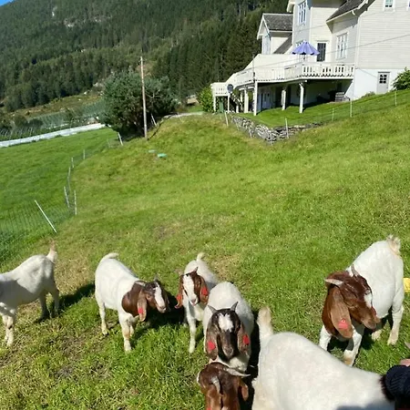 The House Of Mattis In Beautiful * Innvik