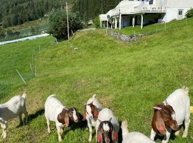 The House Of Mattis In Beautiful * Innvik